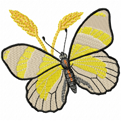 Butterfly Embroidery Design 9